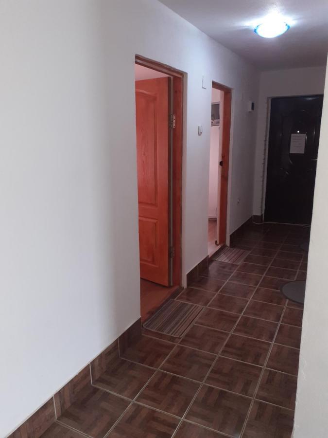 Casa Denisa Vidraru Transfgarasan Hotel Căpăţîneni-Ungureni Kültér fotó