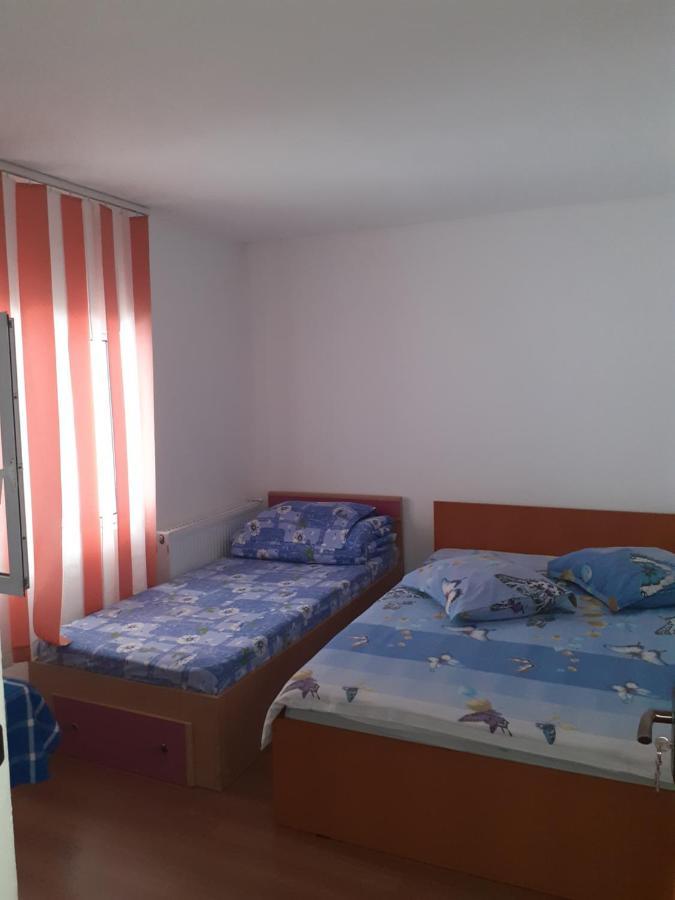 Casa Denisa Vidraru Transfgarasan Hotel Căpăţîneni-Ungureni Kültér fotó