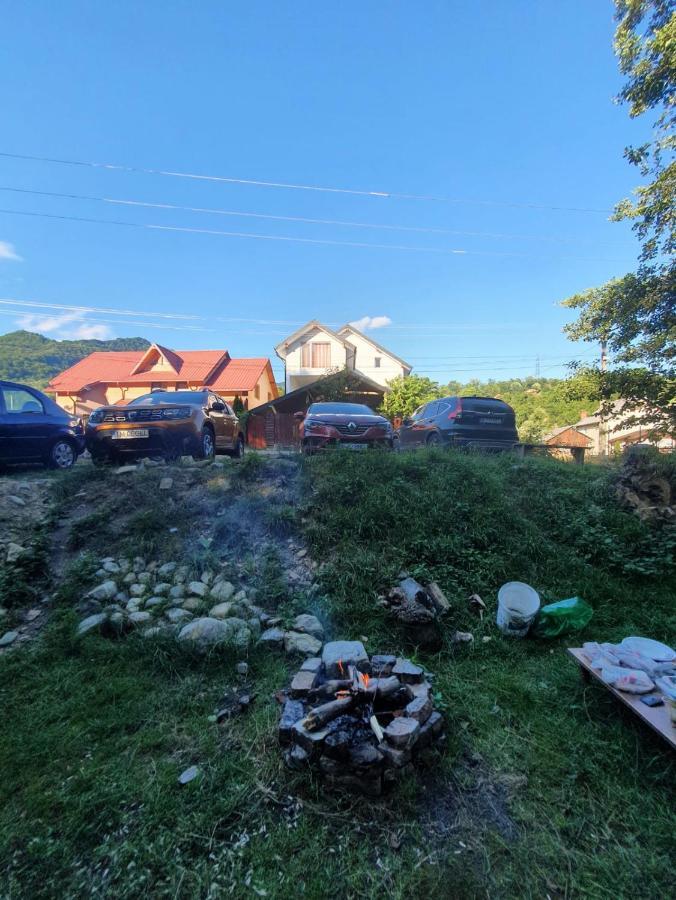 Casa Denisa Vidraru Transfgarasan Hotel Căpăţîneni-Ungureni Kültér fotó